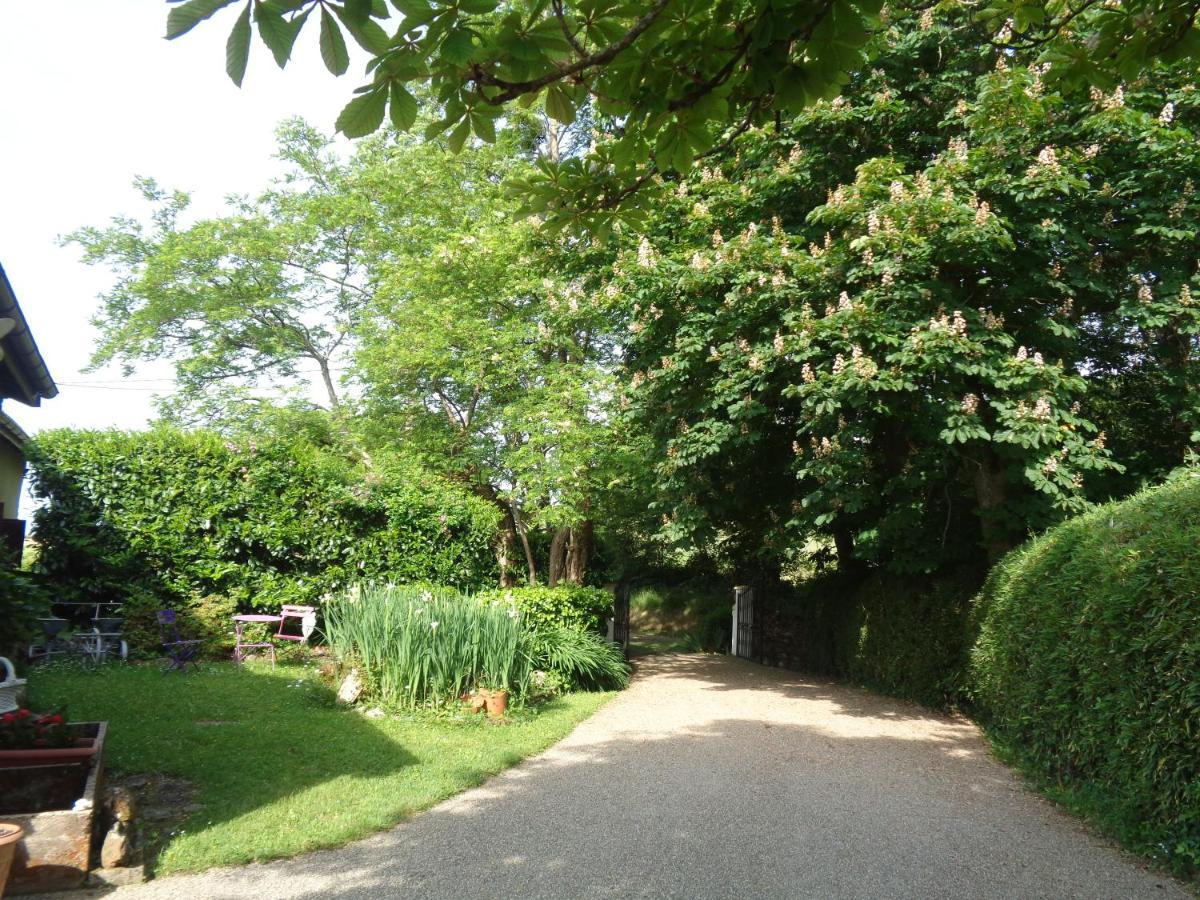 Bed and Breakfast Maison d'Hôtes Léchémia à Salies-de-Béarn Extérieur photo